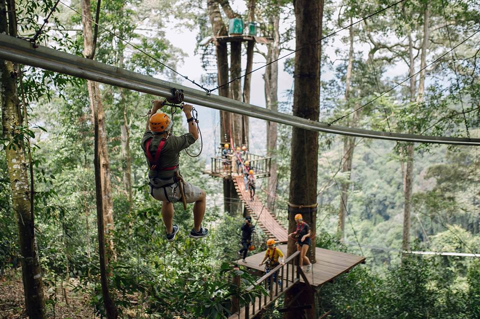zipline,chiangmai,thailand,adventure,activity,forest