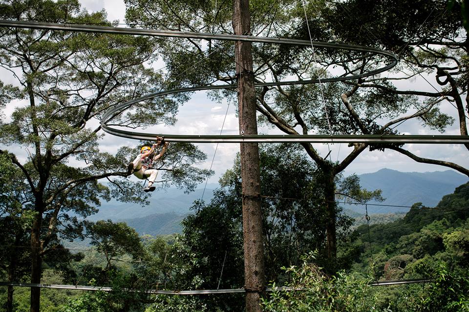 zipline,chiangmai,thailand,adventure,activity,forest