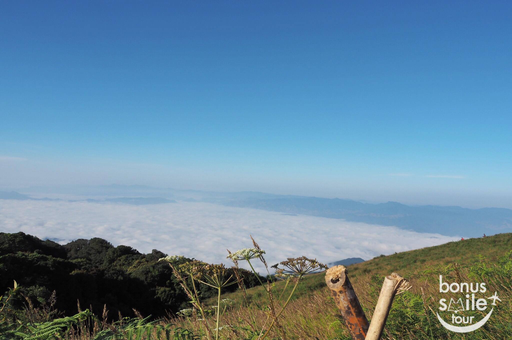 Kew Mae Pan, Doi Inthanon, National Park, Chiang Mai, Nature Trail